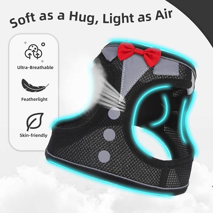 PUPTECK Dog Harness and Leash Set for Small Medium Dogs No Pull Step-in Soft Mesh Puppy Cat Vest Harnesses Reflective at Night, Black Bow Tie