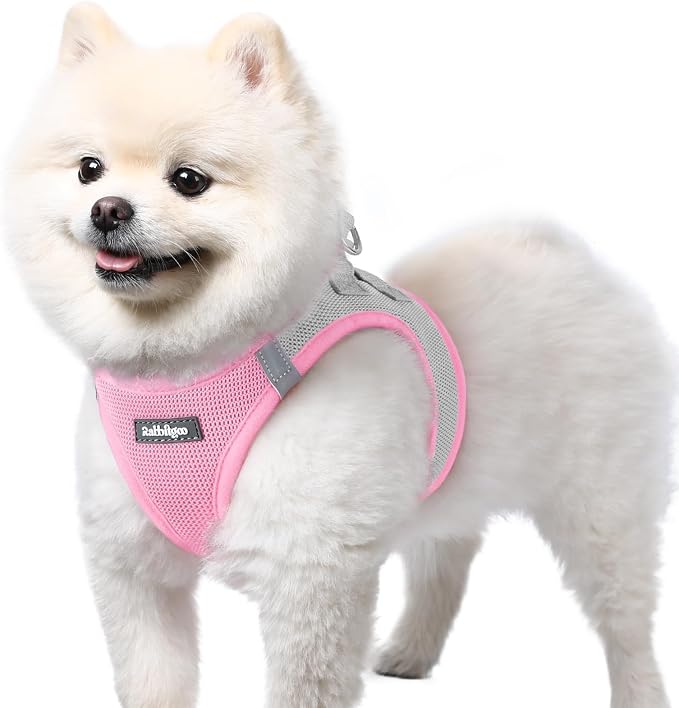 rabbitgoo Step-in Small Dog Harness, Puppy Vest for Small Sized Pet | Easy Put on and off, Lightweight, Soft, Breathable Quick-Dry Air Mesh for Comfortable Secure Walking, Light Pink & Gray S
