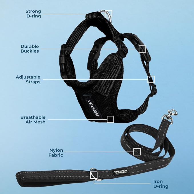 Best Pet Supplies Voyager Step-in Lock Pet Harness w Reflective Pet Leash Combo Set with Neoprene Handle 5ft - Supports Small, Medium and Large Breed Puppies/Cats - Black Set, XS