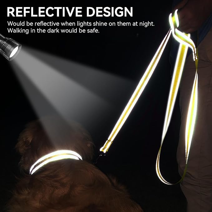 Joytale Reflective Dog Leash for Medium & Large Dogs, 5 FT x 1", Yellow | Heavy Duty Nylon Webbing, Padded Handle for Comfort, Visible at Night, for Walking & Training