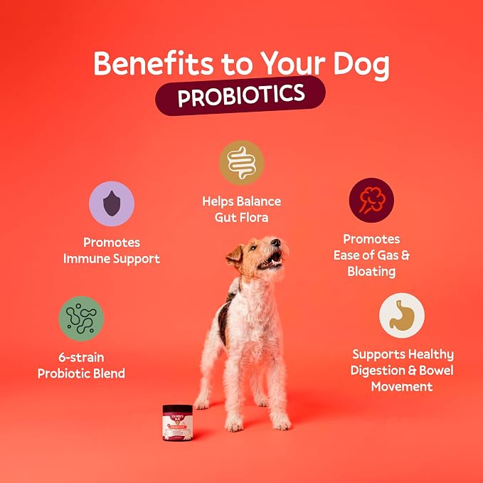 Oliver's Gut Probiotics for Dogs, Digestion Health · 6-Strain Probiotics · Immune Support. Papaya & Pumpkin Powder. Beef Bone Broth Powder. Gut Health. Beef - 120 Count.