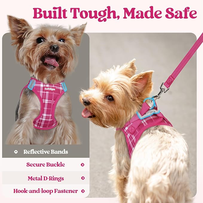 rabbitgoo Dog Harness Small Sized and Leash Set, Step-in Puppy Pet Vest | Light, Soft, Breathable Air Mesh, Easy on and Remove with Hook & Loop, Secure Reflective for Walking, Rose Red Plaid XXS