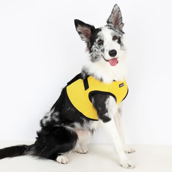 PUPPIA International Harness Soft B Vest, XX-Large, Yellow
