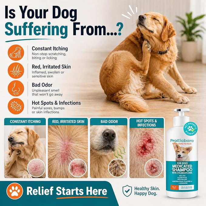 Medicated Dog Shampoo for Allergies and Itching: Antifungal Dog Shampoo, Yeast Infection and Bacterial Treatment for Dogs - Helps Hot Spots, Deodorizing and Anti Itch - Healthy Skin & Coat 16 OZ