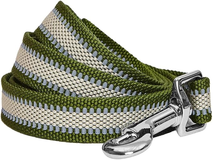 Blueberry Pet Essentials Reflective Better Basics Dog Leash, Dark Olive, 5 ft x 3/4", Medium, Leashes for Dogs