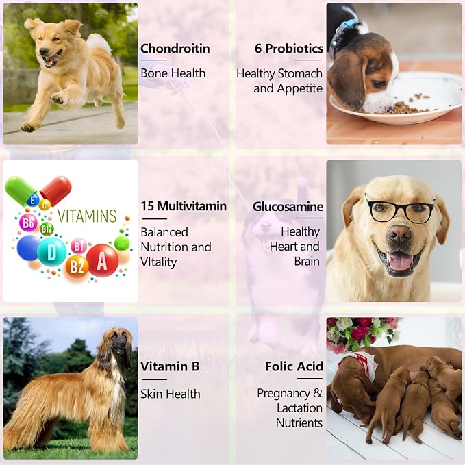 15-in-1 Dog Multivitamin Drops, Liquid Multivitamin Drops for Dogs, 2 oz | with Glucosamine, MSM & Omega for Joint, Heart, Immune & Skin Health, Easy Liquid Drops for Picky Eaters, All Ages, Breeds