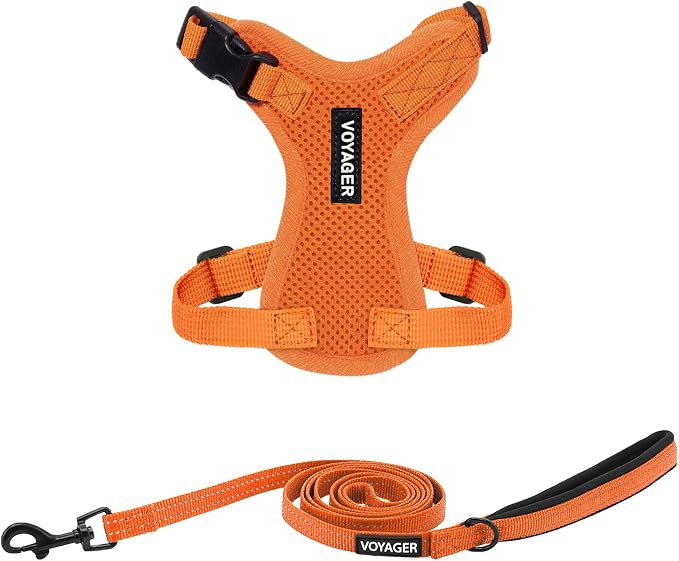 Best Pet Supplies Voyager Step-in Lock Pet Harness w Reflective Pet Leash Combo Set with Neoprene Handle 5ft - Supports Small, Medium and Large Breed Puppies/Cats - Orange Set, XXXS