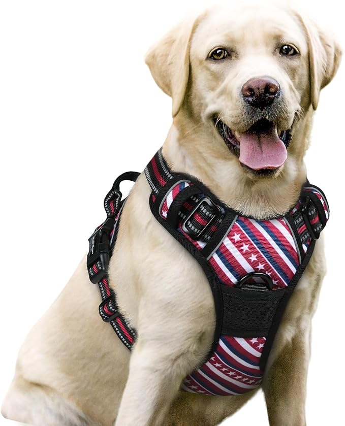 rabbitgoo Dog Harness, No Pull for Large Dogs with 2 Leash Clips, Pet Vest | No Choke with Handle, Adjustable Soft Padded, Reflective, Easy Control for Walking, Red Stripe, Large