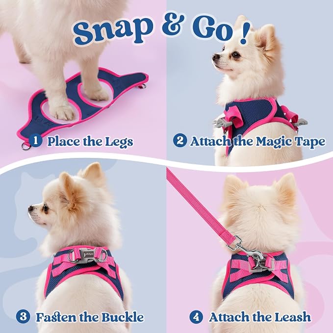 rabbitgoo Dog Harness Small Sized and Leash Set, Step in Soft Vest | Breathable Mesh, Easy Wear with Hook & Loop, Light and Reflective for Walking, Multi-colored, Navy Blue & Rose Red, S