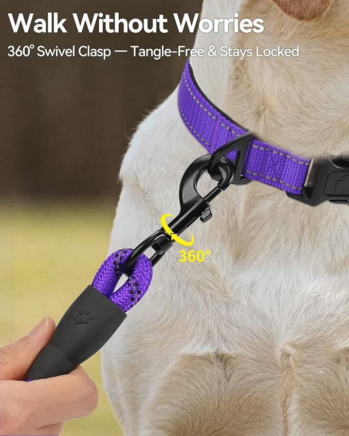 Joytale Rope Dog Leash for Small Dogs, Padded Handle, 6FT, Purple | Reinforced Nylon Webbing, Comfort Grip Eases Hand Strain, Swivel Clip Prevents Tangles, Visible at Night, for Outdoor Walks