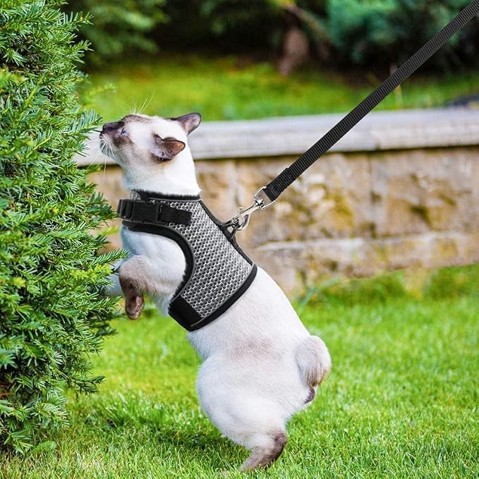 PUPTECK Soft Mesh Cat Vest Harness and Leash Set Puppy Padded Pet Harnesses Escape Proof for Cats Small Dogs Rabbits Bunny