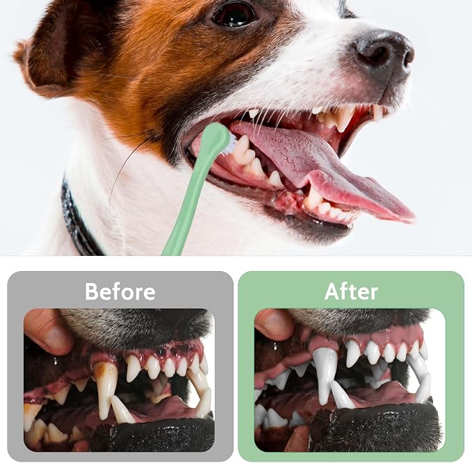 4 Pack Small Dog Toothbrush Pet Toothbrush Cat Tooth Brush Puppy Toothbrush Mini Head Soft Tooth Brush Deep Clean Kit for Puppy,Kitten,Small Dog & Cat,Portable Travel Friendly and Easy to Use