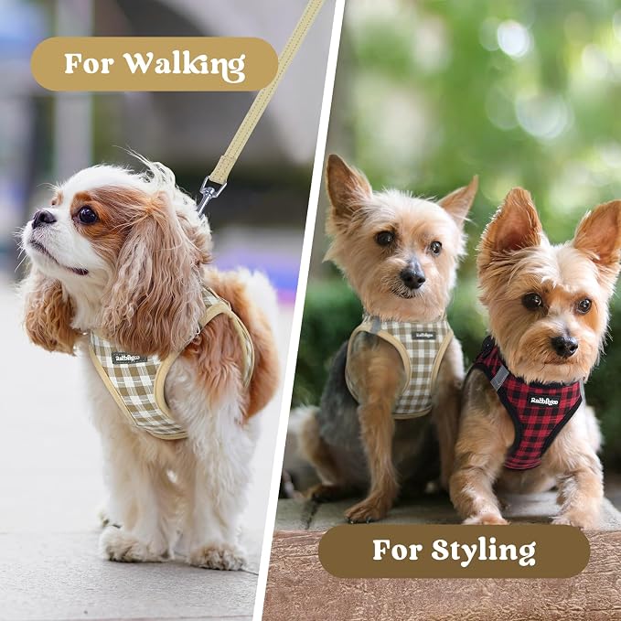 rabbitgoo Step-in Small Dog Harness, Puppy Vest for Small Sized Pet | Easy Put on and off, Lightweight, Soft, Breathable Quick-Dry Air Mesh for Comfortable Secure Walking, Beige Check XXS