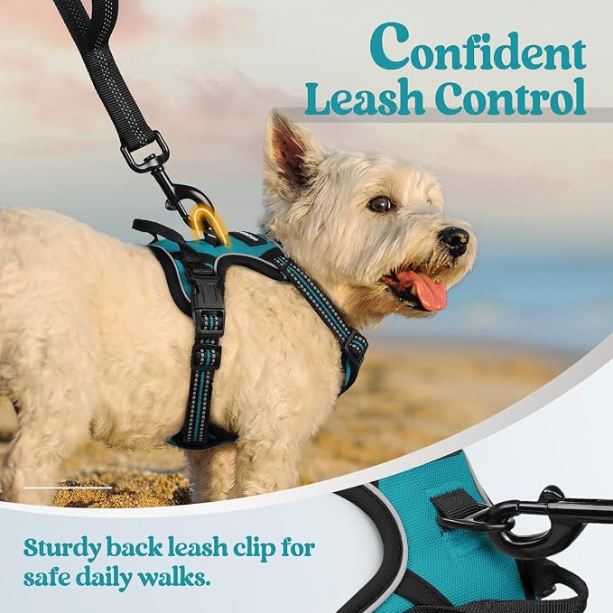 rabbitgoo Dog Harness No Pull with 2 Leash Clips, Adjustable Soft Padded, Reflective Oxford No Choke Pet Vest with Easy Control Handle for Puppy, Teal, XS | No Choke with Handle, Adjustable Soft Padded, Reflective, Easy Control for Walking, Teal, X-Small
