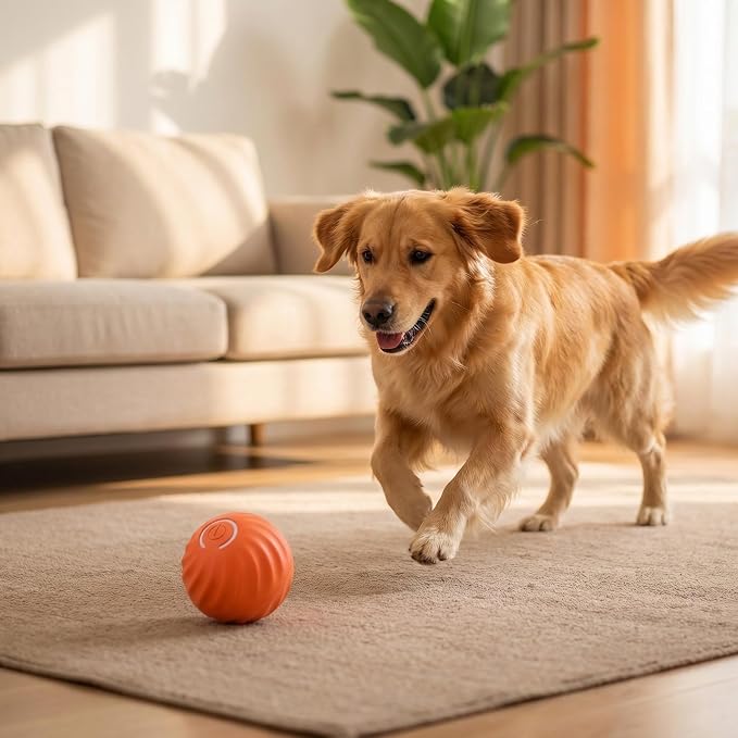 Winb Interactive LED Dog Ball Shell（2 inch）- Only Shell- Small Dogs Ball Play and Wicked Fun, Orange