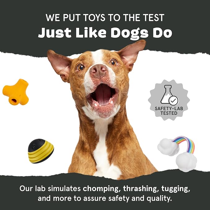 BarkBox Go Mango Tough Squeaky Rubber Dog Toy - Large | Candy-Scented, Durable Design for Long-Lasting, Squeaky Fun - Breeds