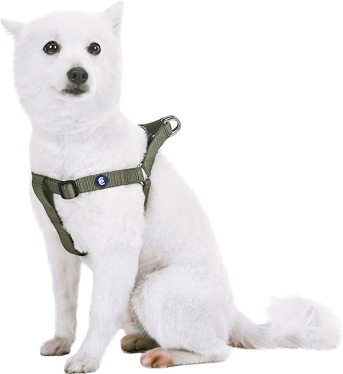 Blueberry Pet Essentials Step-in Dog Harness, Small Size | Adjustable Military Green Vest | Classic Solid Nylon for Boy & Girl Dogs, Chest Girth 16.5" - 21.5"