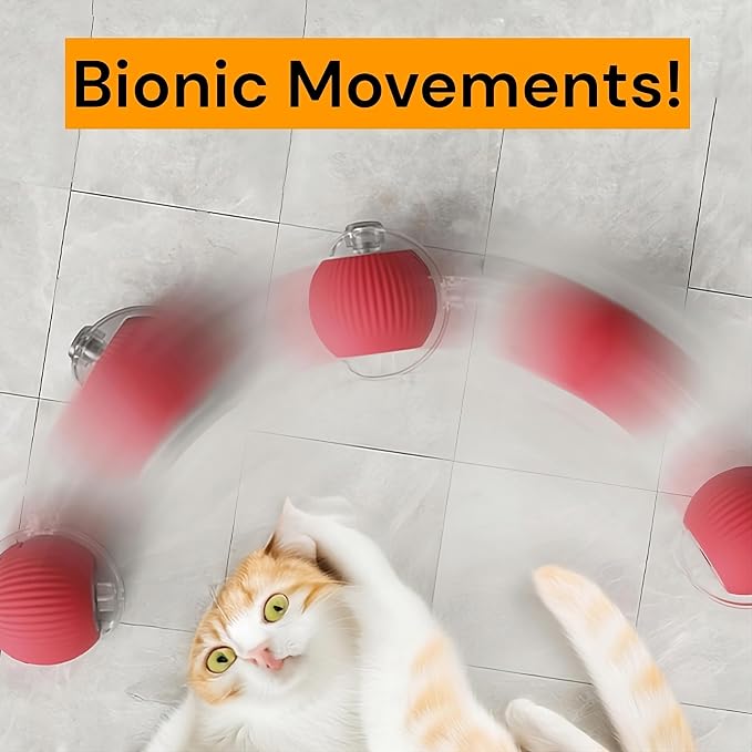 Interactive Electric Automatic Rolling Moving Rechargeable Self Play Stimulation Toy,Smart Pet Chase with Speedy Tail Rope for Bored Indoor Cats (Green)