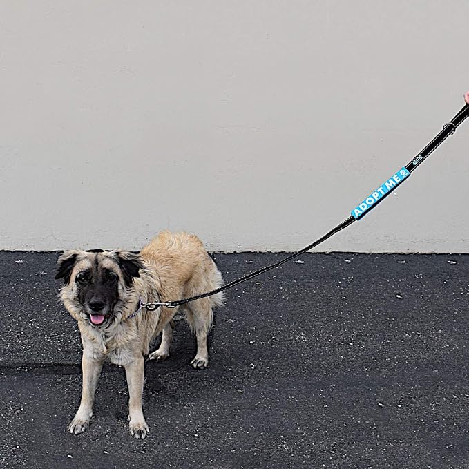 Max and Neo Leash Sleeves Adopt ME - We Donate 1 for 1 to Dog Rescues for Every Product Sold (Blue/Single)