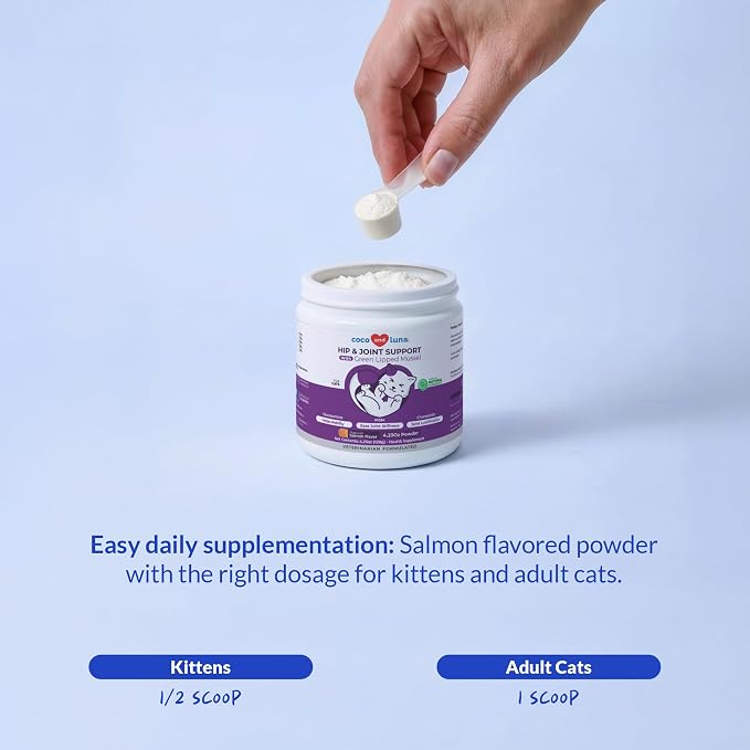 Hip & Joint Powder for Cats - Glucosamine, MSM & Green Lipped Mussel