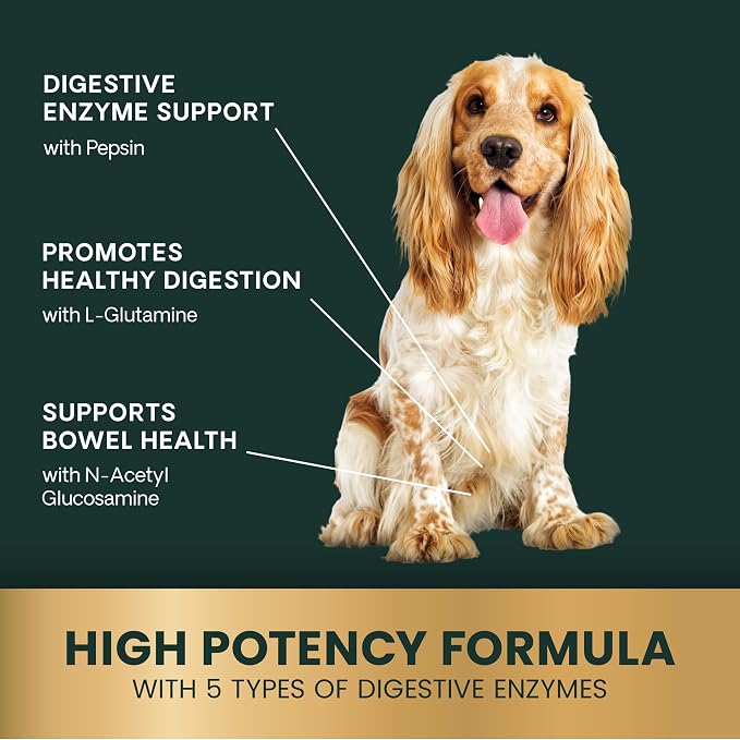 VetriScience Extra Strength Healthy Gut & Digestion Tablets, 120 Count