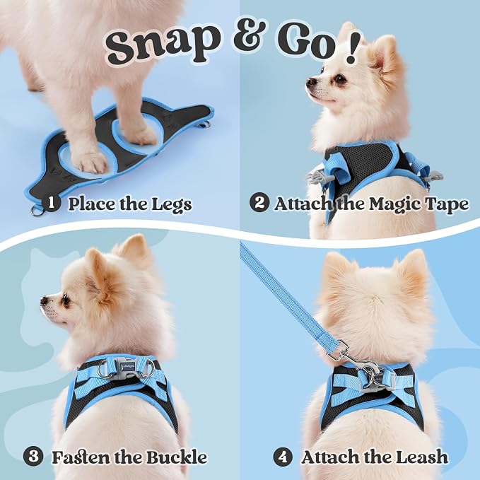 rabbitgoo Dog Harness Small Sized and Leash Set, Step in Soft Vest | Breathable Mesh, Easy Wear with Hook & Loop, Light and Reflective for Walking, Multi-colored, Black & Blue, S
