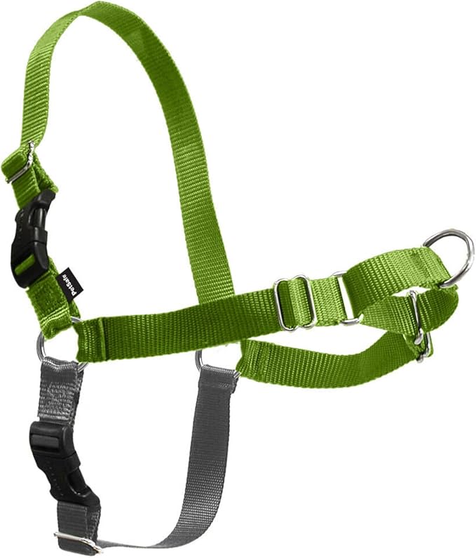 PetSafe Easy Walk Harness for Dogs - Pull-Free Walks - Patented Martingale Loop Design - Front Chest Leash Attachment - Comfort Straps - Breathable Harness Design - Small, Apple Green/Gray
