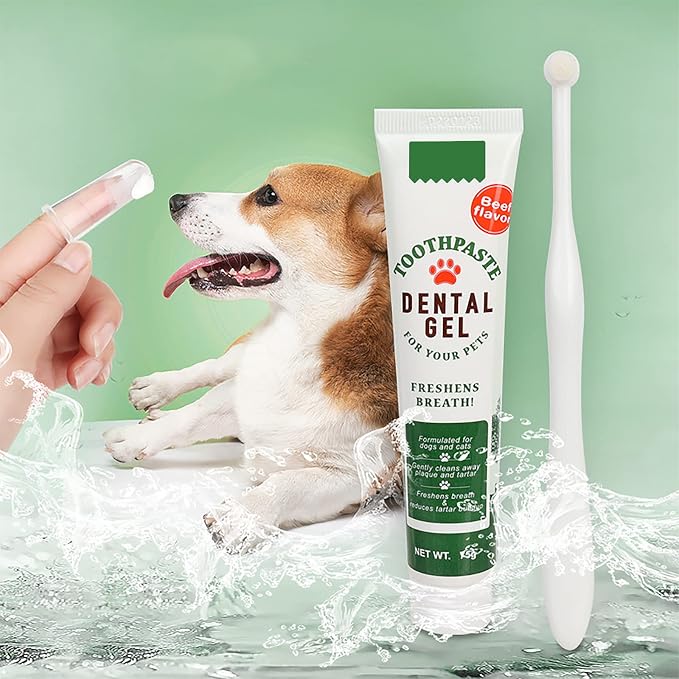 Pet Toothbrush Toothpaste Kit Dog Teeth Cleaning Cat Teeth Cleaning Dental Care Kit Pet Finger Toothbrush, Reduce Plaque & Tartar Buildup, Beef Flavor