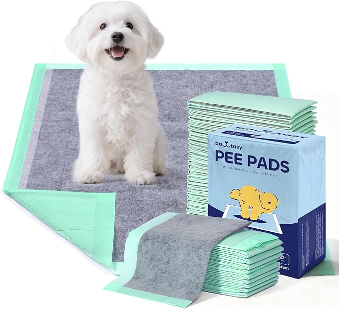 Pawtasy Charcoal Dog Pee Pads, 100 Count,22" x 22" Small Disposable Puppy Training Pads with Bamboo Charcoal Odor Control, 5-Layer Super Absorbent & Leak-Proof Pet Potty Pads for Dogs, Cats & Pets