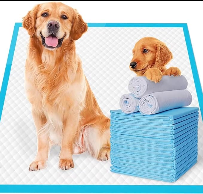 Super-Absorbent Pet Training Pads, Leak-Proof Design, 24-Hour Protection, Thickening Material (Extra Large, 20, 60x90)