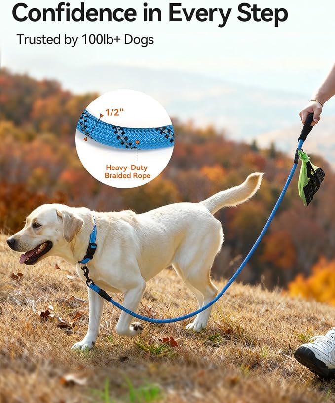 Joytale Rope Dog Leash for Medium Large Dogs, Padded Handle, 6FT, Aqua Blue | Reinforced Nylon Webbing, Comfort Grip Eases Hand Strain, Swivel Clip Prevents Tangles, Visible at Night, for Outdoor Walks
