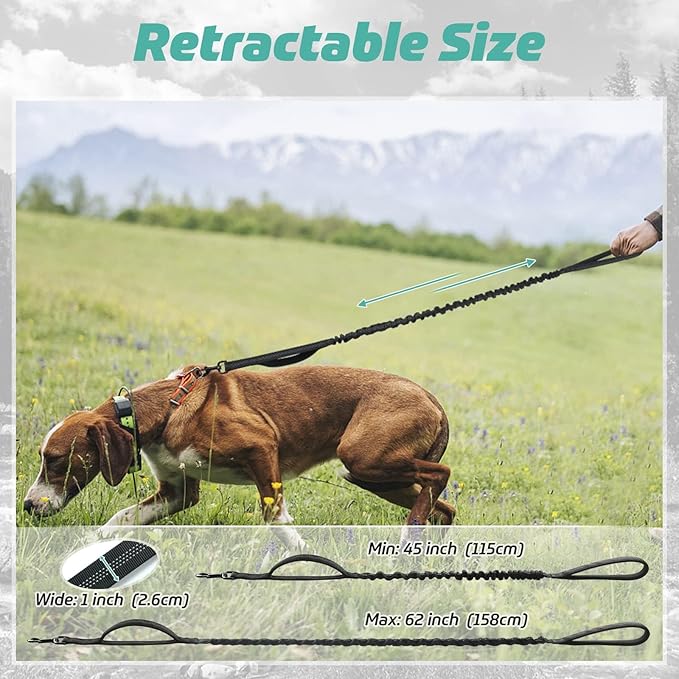 rabbitgoo Tactical Dog Leash, Heavy Duty Training Bungee Lead | Military Leash with 2 Padded Control Handles for Medium Large Dogs, No Pull for Shock Absorption, Reflective, Black, 5.2FT