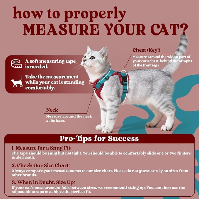 rabbitgoo Cat Harness and Leash Set, Escape Proof Vest, Red & Teal | Soft Breathable Mesh, Easy Adjustable Fit, Snap Buckles, Sturdy Clip, Reflective Strips, for Medium to Large Cats Walks, M