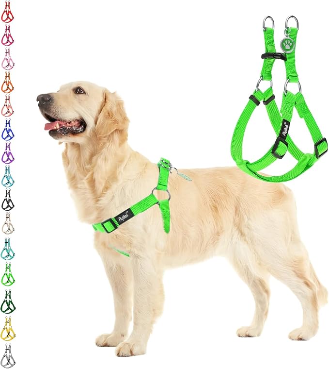 PUPTECK No Pull Dog Harness Soft Adjustable Basic Nylon Step in Puppy Vest Outdoor Walking with ID Tag, Green, M | Soft Webbing Basic Halter with ID Tag for Outdoor Walking
