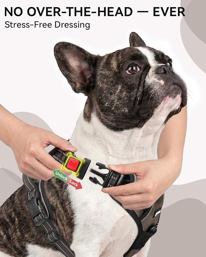 Joytale No Pull Dog Harness & Seat Belt, Easy On 3-Buckle, M, Brown | Front Clip Reduces Pulling, Escape-Resistant Design, Adjustable Fit, Soft Padding for Comfort, Secure Tether for Safer Travel