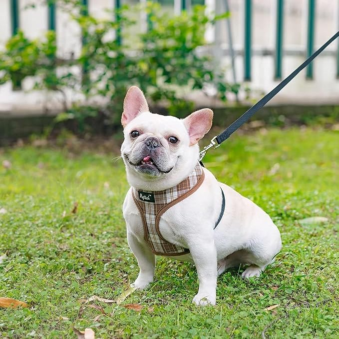 PUPTECK Soft Mesh Dog Harness and Leash Set Pet Puppy Cat Comfort Padded Vest No Pull Harnesses, Brown, S
