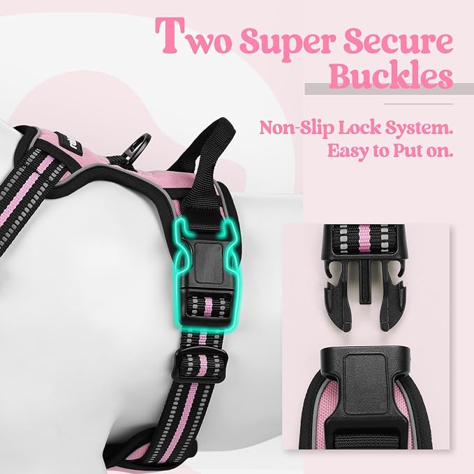 rabbitgoo Dog Harness, No Pull for Small Dogs with 2 Leash Clips, Pet Vest | No Choke with Handle, Adjustable Soft Padded, Reflective, Easy Control for Walking, Pink, Small
