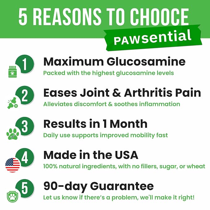 Glucosamine for Dogs - Joints Health Treats w/Omega Fish Oil - Natural Joint Pain Relief - Canine Hip and Joint Supplement w/Chondroitin + MSM + Turmeric + Calcium - 240 Beef Chews