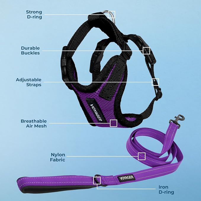 Best Pet Supplies Voyager Step-in Lock Pet Harness w Reflective Pet Leash Combo Set with Neoprene Handle 5ft - Supports Small, Medium and Large Breed Puppies/Cats - Purple/Black Trim Set, S