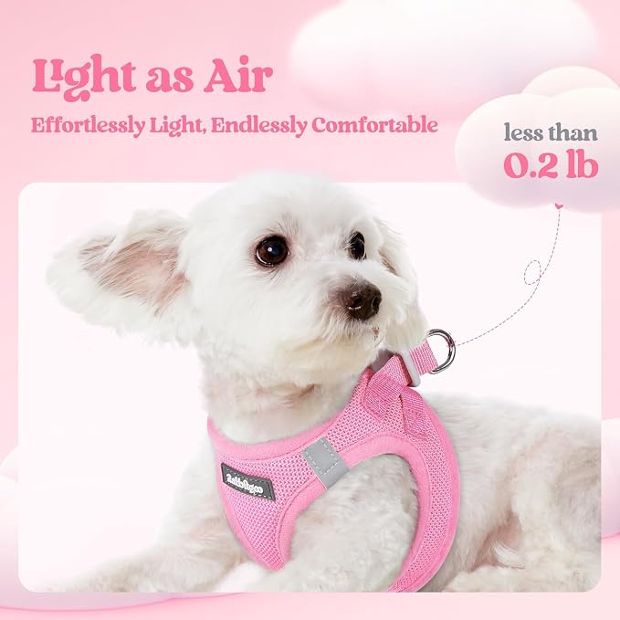 rabbitgoo Dog Harness Medium Sized and Leash Set, Step-in Puppy Pet Vest | Light, Soft, Breathable Air Mesh, Easy on and Remove with Hook & Loop, Secure Reflective for Walking, Light Pink L