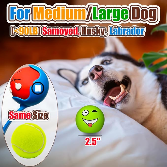 HOLYSTEED Latex Squeaky Dog Balls for Medium Breeds, 2.5" Round Squeak Toys | 2.5"x2.5"x2.3", 6-Pack Soft Rubber Smile Face Dog Ball Squeaky, Bouncy Fetch Puppy Toy with Squeaker for Indoor Outdoor
