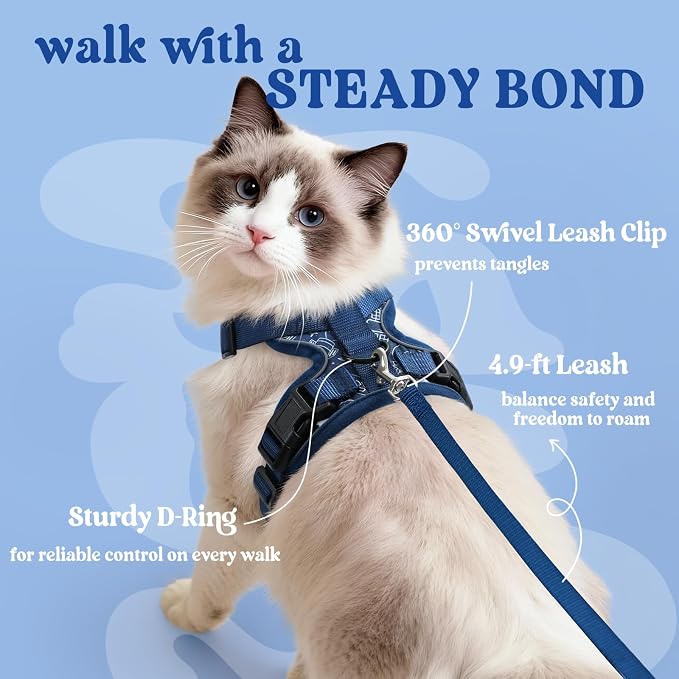 rabbitgoo Cat Harness and Leash Set, Escape Proof Vest, Cosmic Ace | Soft Breathable Mesh, Easy Adjustable Fit, Snap Buckles, Sturdy Clip, Reflective Strips, for Medium to Large Cats Walks, M