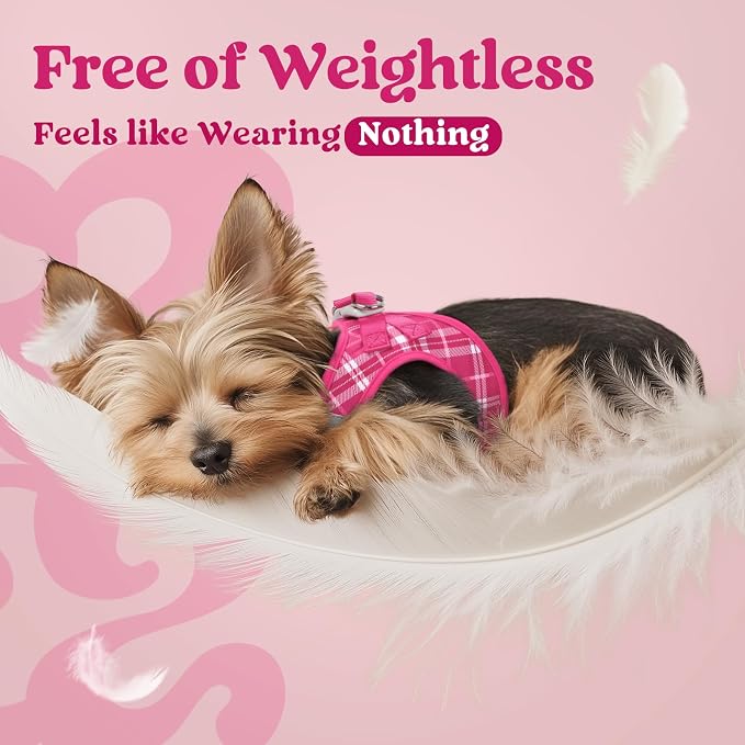 rabbitgoo Step-in Small Dog Harness, Puppy Vest for Small Sized Pet | Easy Put on and off, Lightweight, Soft, Breathable Quick-Dry Air Mesh for Comfortable Secure Walking, Rose Red Plaid S