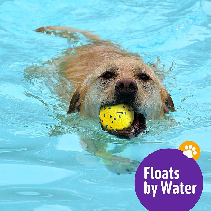 Kimee Dog Tennis Ball Chew Toys, Floating, 3Pcs, 5.3in