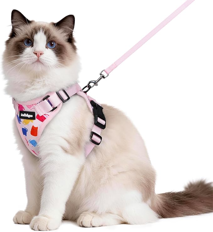 rabbitgoo Cat Harness and Leash Set, Escape Proof Vest, Purrty Pink | Soft Breathable Mesh, Easy Adjustable Fit, Snap Buckles, Sturdy Clip, Reflective Strips, for Medium to Large Cats Walks, M