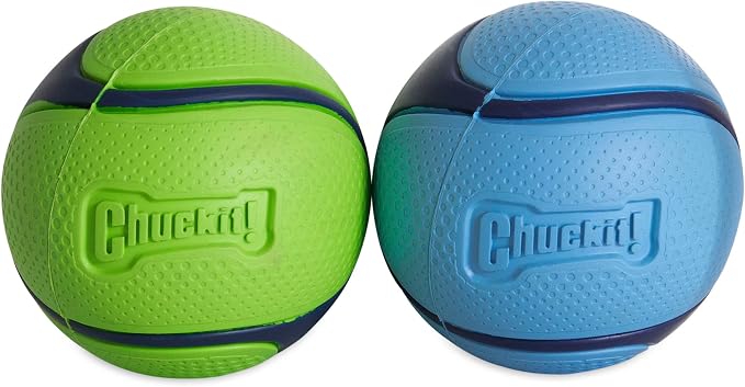 Chuckit! Sniff Fetch Balls Canister, 4 Pack, for Medium Dog Breeds | Made for Dogs Weighing 20 to 60 Pounds