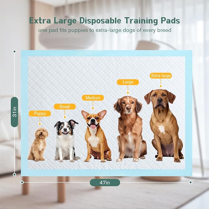 Large Puppy Pee Pads for Dogs 31" x 47" 40 Count, 6-Layer Leak-Proof XXXL Dog Pee Pads Extra Large, Super Absorbent Quick-Dry Thick Disposable Potty Training Pads