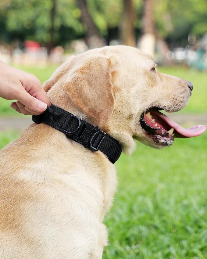 Joytale Tactical Dog Collar(17"-21") and Dog Leash Set, Shock Absorbing Bungee Dog Leash and Adjustable Strong Dog Collar with Handle for Large Dogs(Black, L)