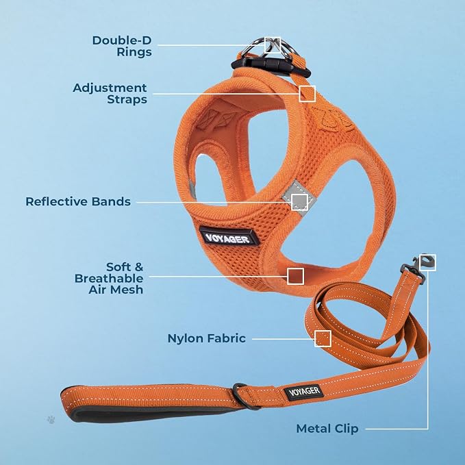 Best Pet Supplies Voyager Step-in Air All Weather Mesh Harness and Reflective Dog 5ft Leash Combo with Neoprene Handle, for Small, Medium and Large Breed Puppies - Orange, Small