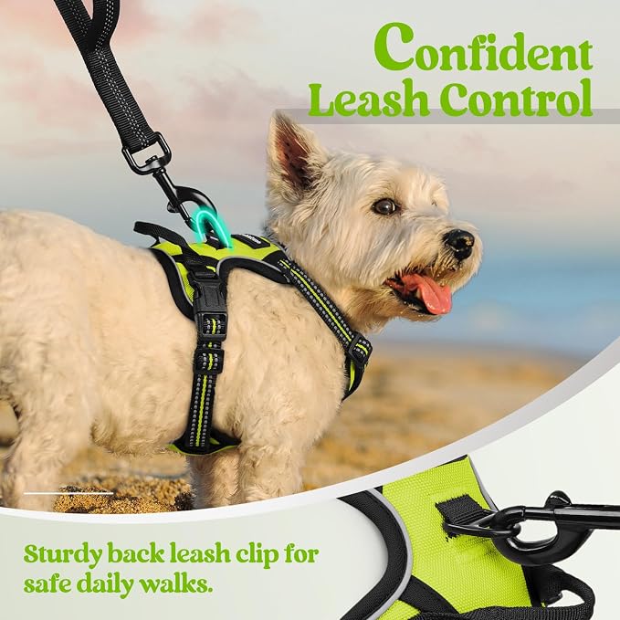 rabbitgoo Dog Harness No Pull with 2 Leash Clips, Adjustable Soft Padded, Reflective Oxford No Choke Pet Vest with Easy Control Handle for Puppy, Green, XS | No Choke with Handle, Adjustable Soft Padded, Reflective, Easy Control for Walking, Wild Lime,...